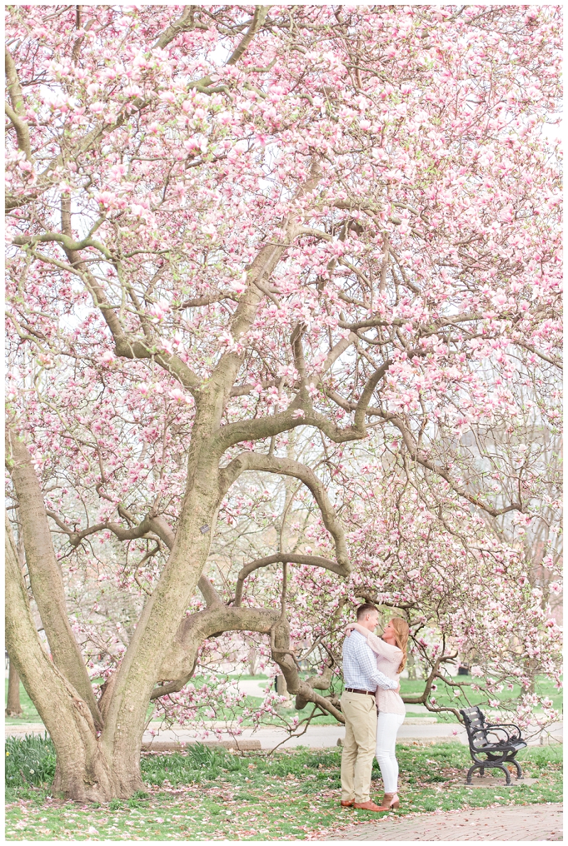 Pink Blossom Tree at Goodale Park in Downtown Columbus Ohio